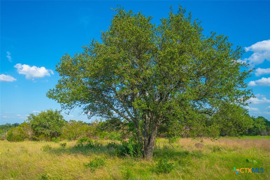 0000 Long View Ranch
