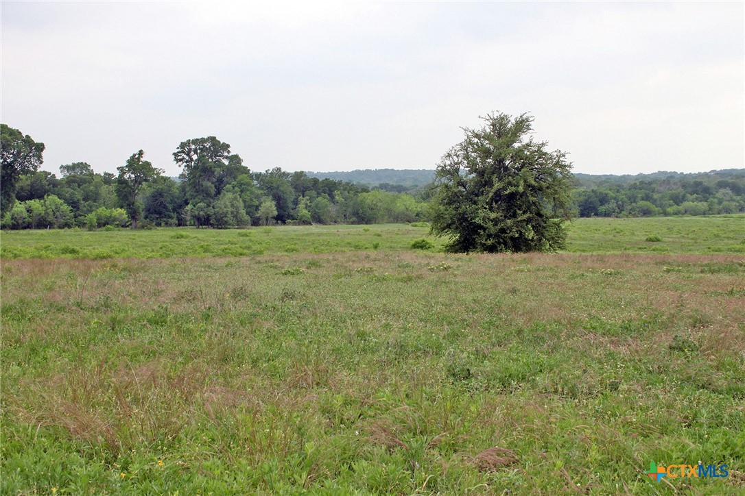 00 Brushy Branch Road