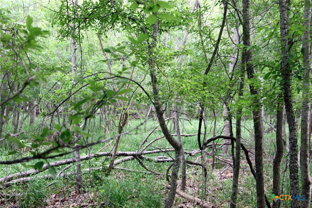 00 Brushy Branch Road