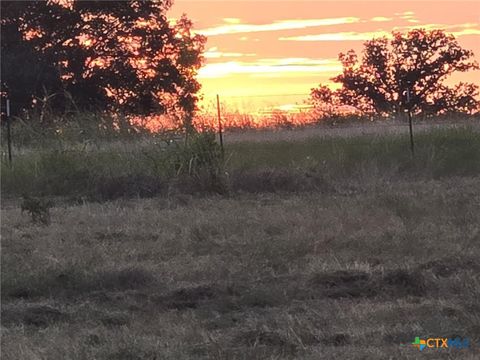 318 Grand Canyon Drive Oglesby TX 76561