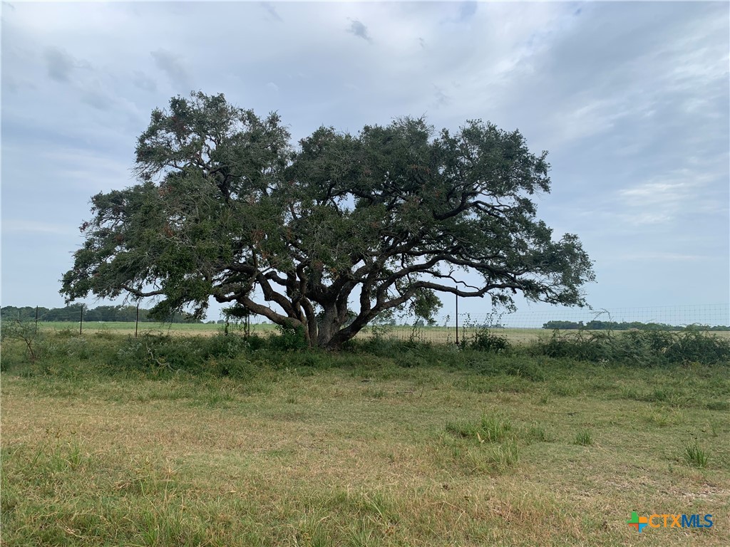 12655 State Highway 172