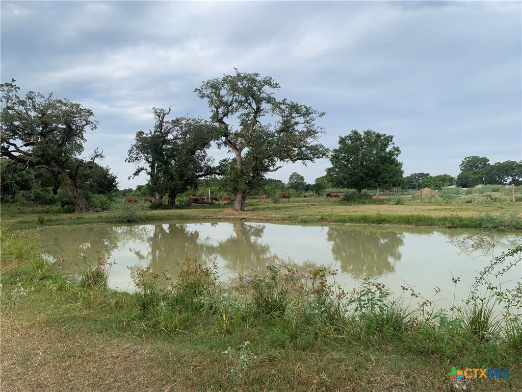 12655 State Highway 172