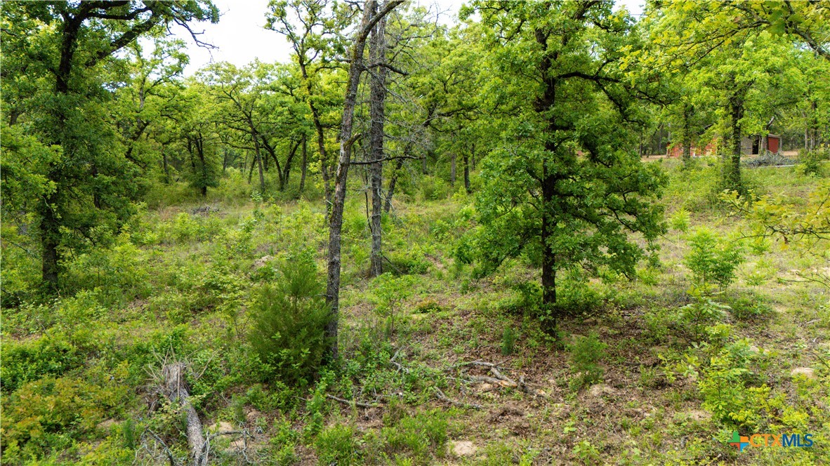 Cameron, Texas 75620, United States, 2 Bedrooms Bedrooms, ,1 BathroomBathrooms,Residential,Active,138809