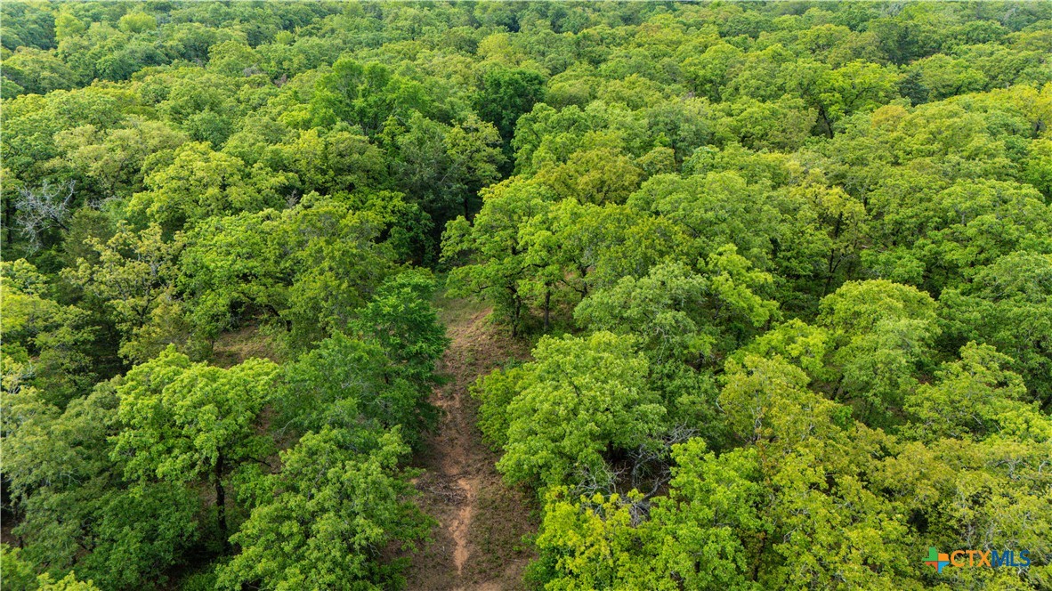 Cameron, Texas 75620, United States, 2 Bedrooms Bedrooms, ,1 BathroomBathrooms,Residential,Active,138809