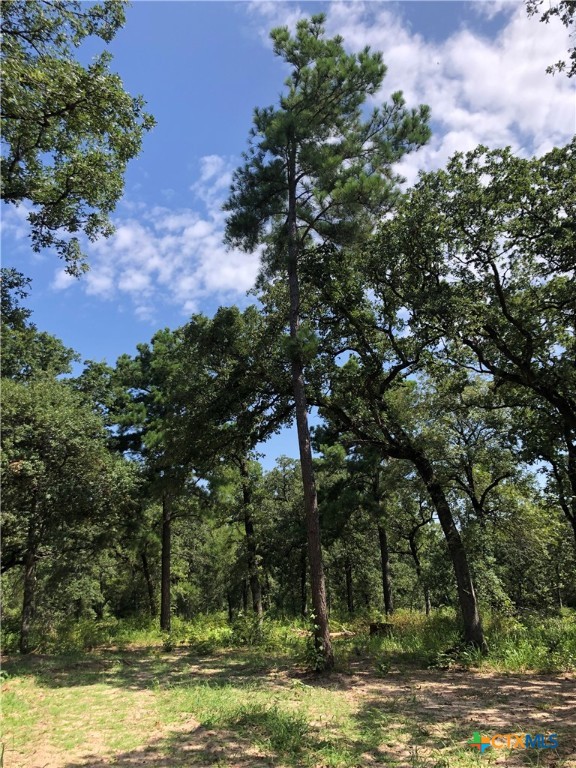 Cameron, Texas 75620, United States, 2 Bedrooms Bedrooms, ,1 BathroomBathrooms,Residential,Active,138809