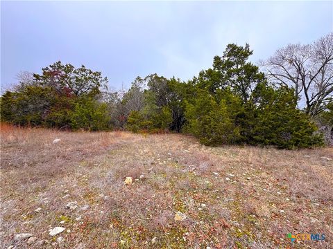 1021 Cliff Circle Spring Branch TX 78070