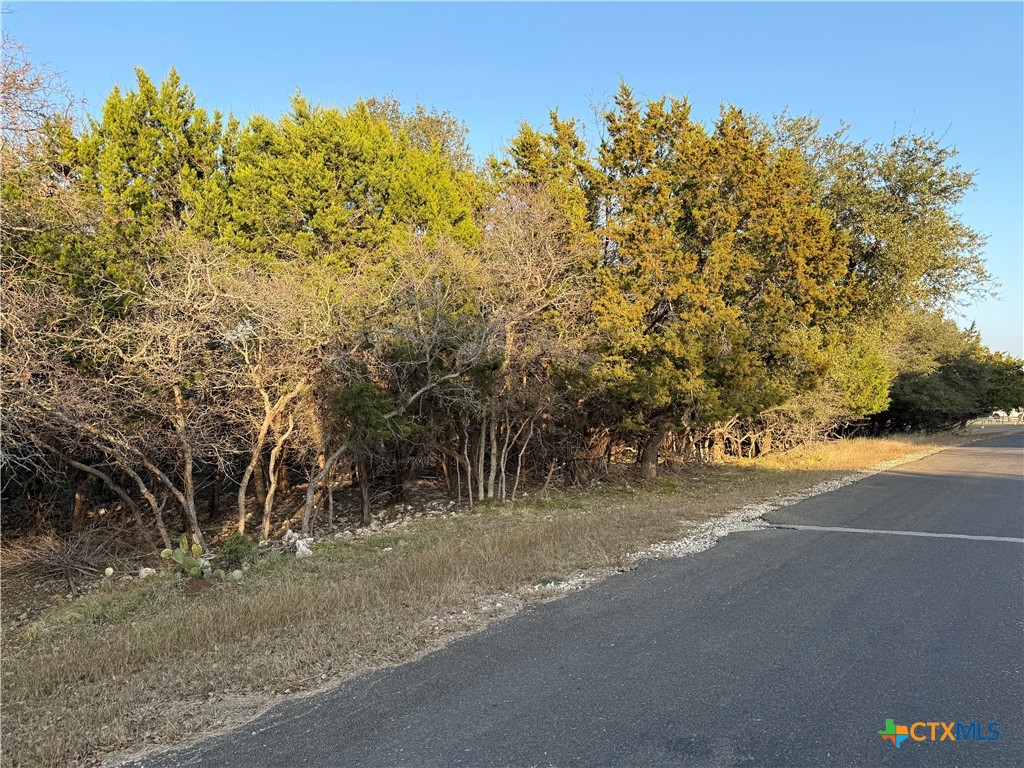 15932 Crockett Drive