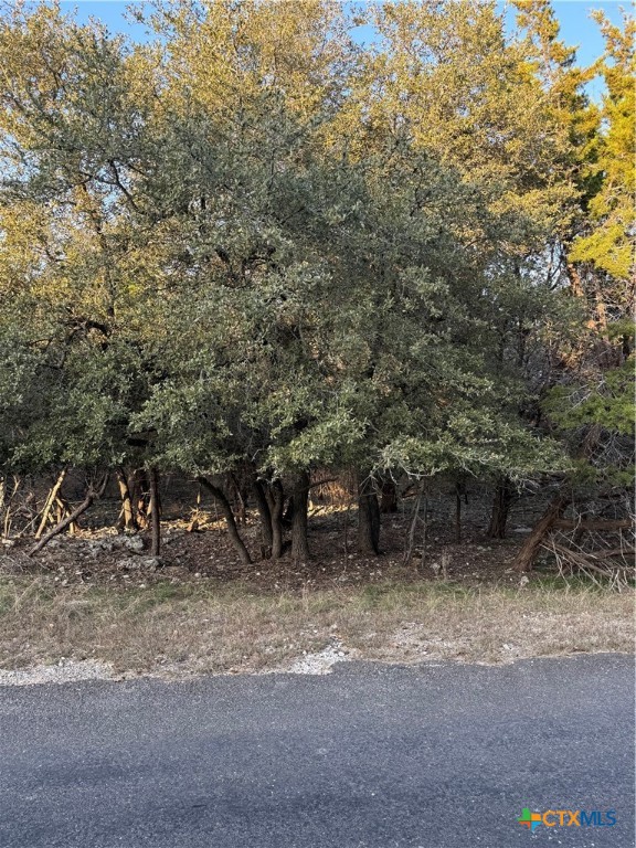 15932 Crockett Drive