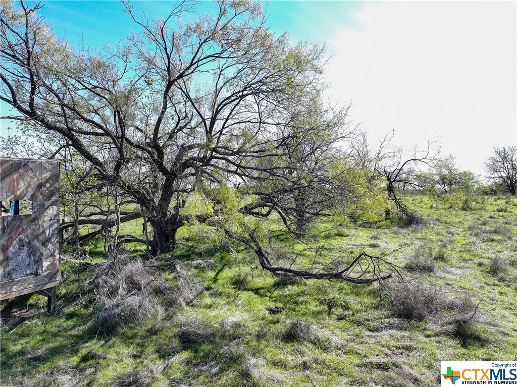 TBD Prairie Dell Road
