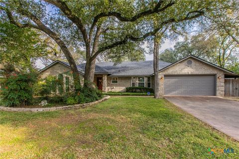 Photo of 205 Ben Nevis Lane, Belton, TX 76513 (MLS # 599473)