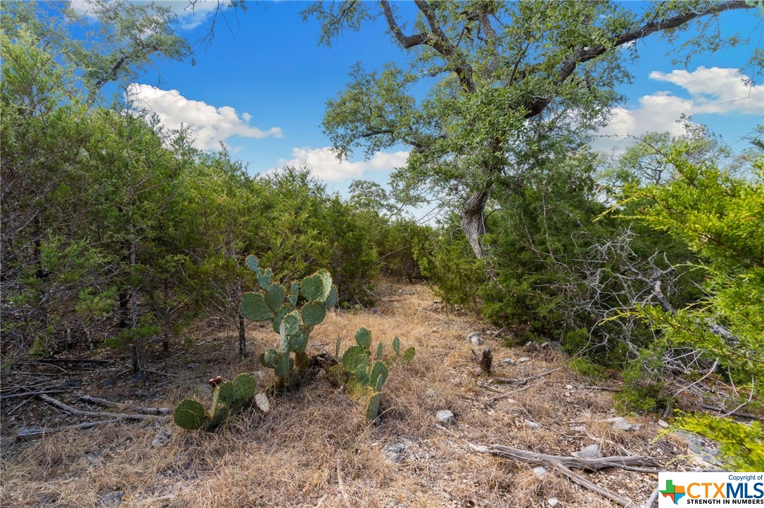 View New Braunfels, TX 78132 land