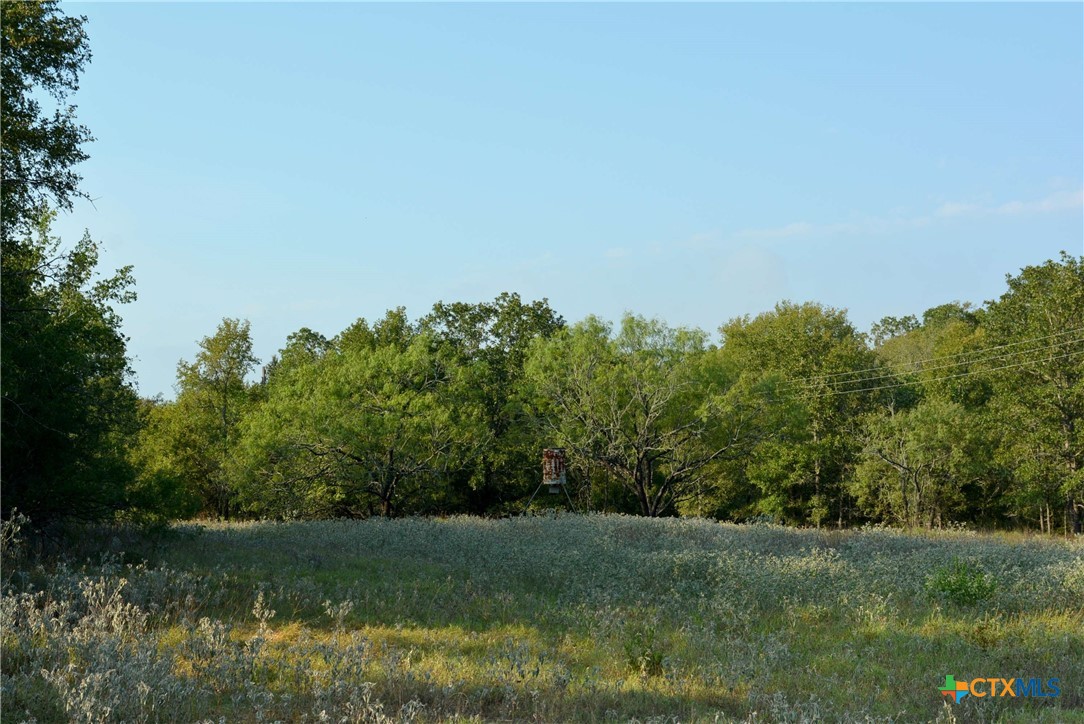 569 Burdette Wells Road