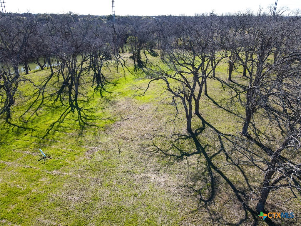 TBD Lot 5 Leon River