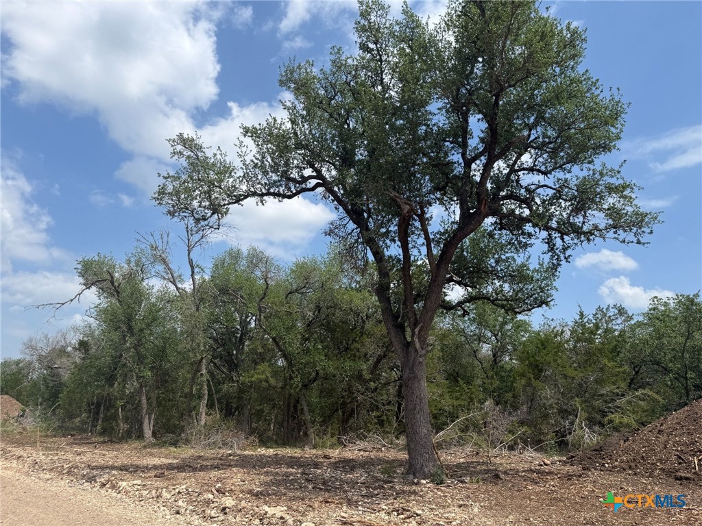 TBD Lot 22 Ironwood Ridge