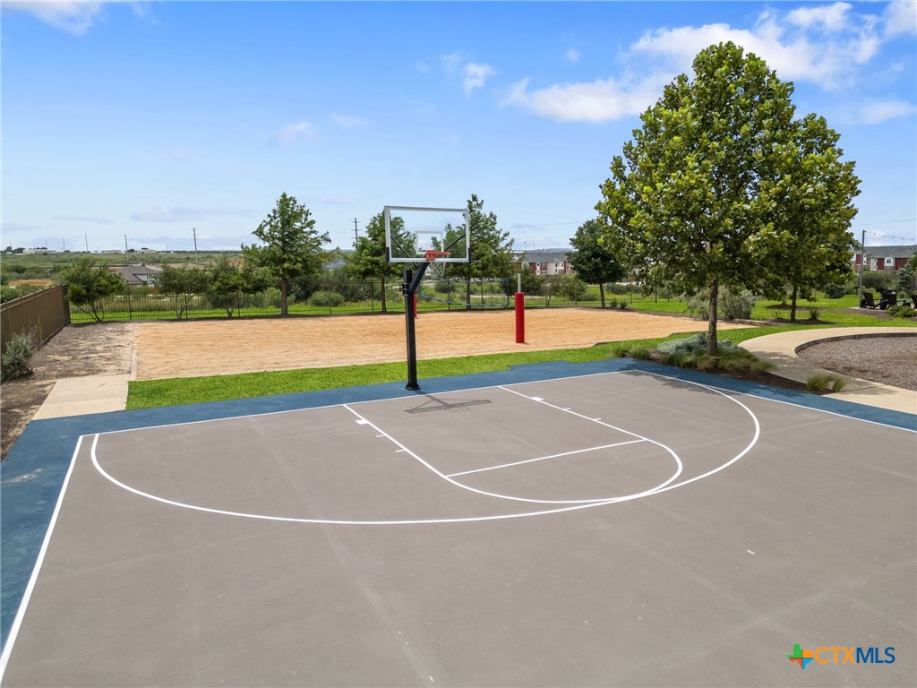 502 Salamander Street