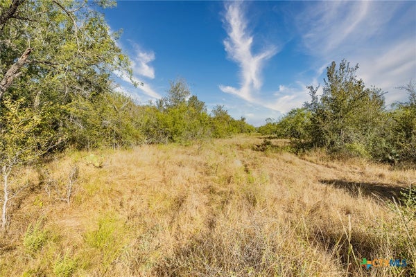 TBD N FM 108, SMILEY, TX 78159 - Image 597360b10cdc8a8dba69931a11aa16d9/2099084052