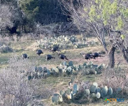 1218 Private Road 1377