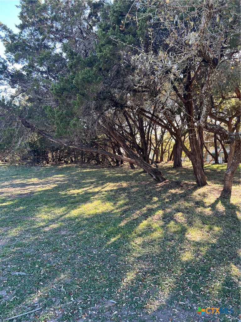 1309 and 1321 Lakeview Drive