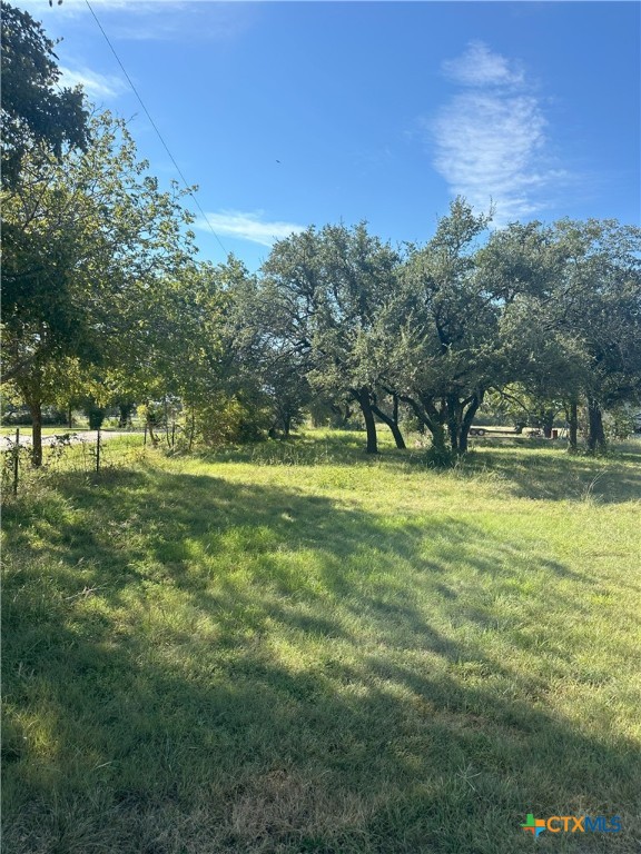 1106 Cedar Mountain Road