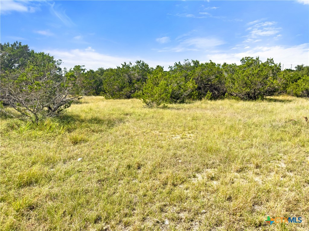 242 Thoroughbred Lane