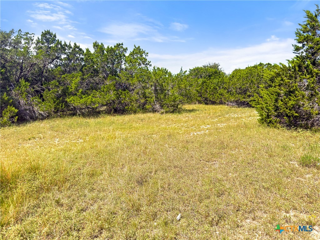 242 Thoroughbred Lane