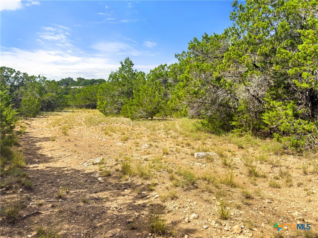 242 Thoroughbred Lane