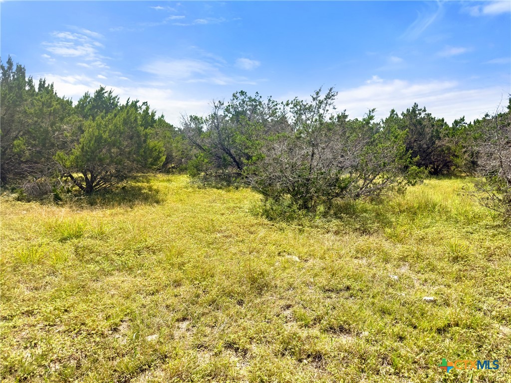 242 Thoroughbred Lane