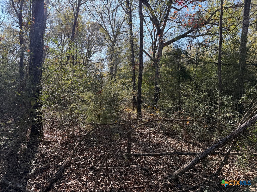 TBD County Road 301 Tract 7