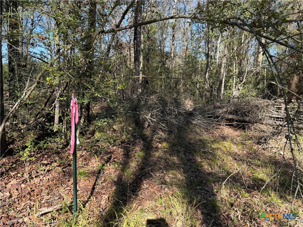 TBD County Road 301 Tract 7