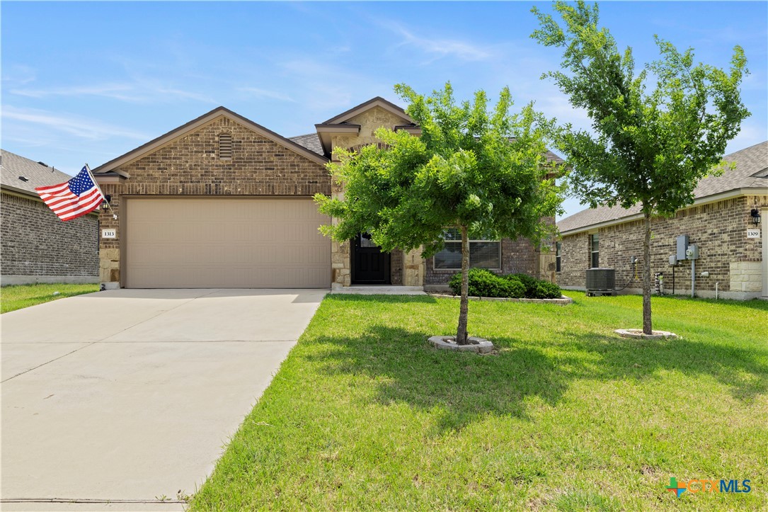 1313 Juneberry Park Drive
