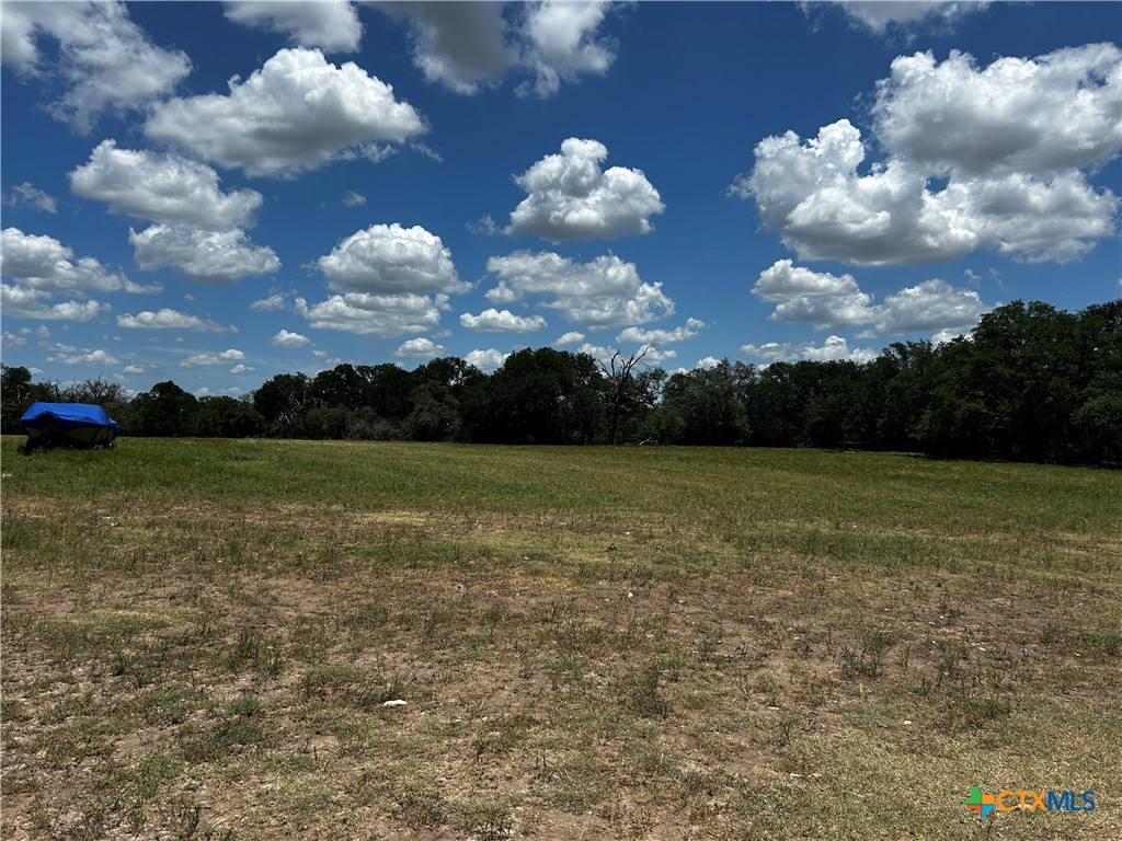 1315 Crossfire Trail
