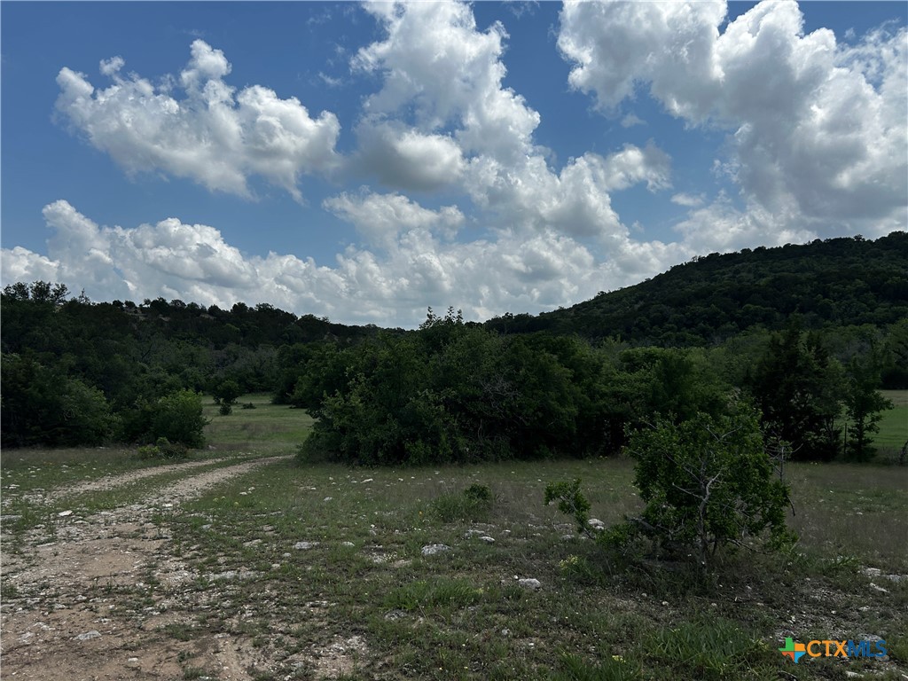 1315 Crossfire Trail