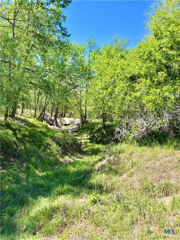 Photo 1 of 15 — 3775 BAKER Road, Kingsbury, TX 78638