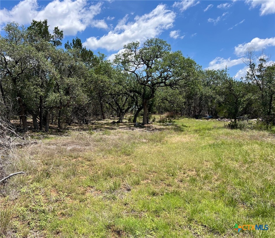 TBD Forest View Drive 1