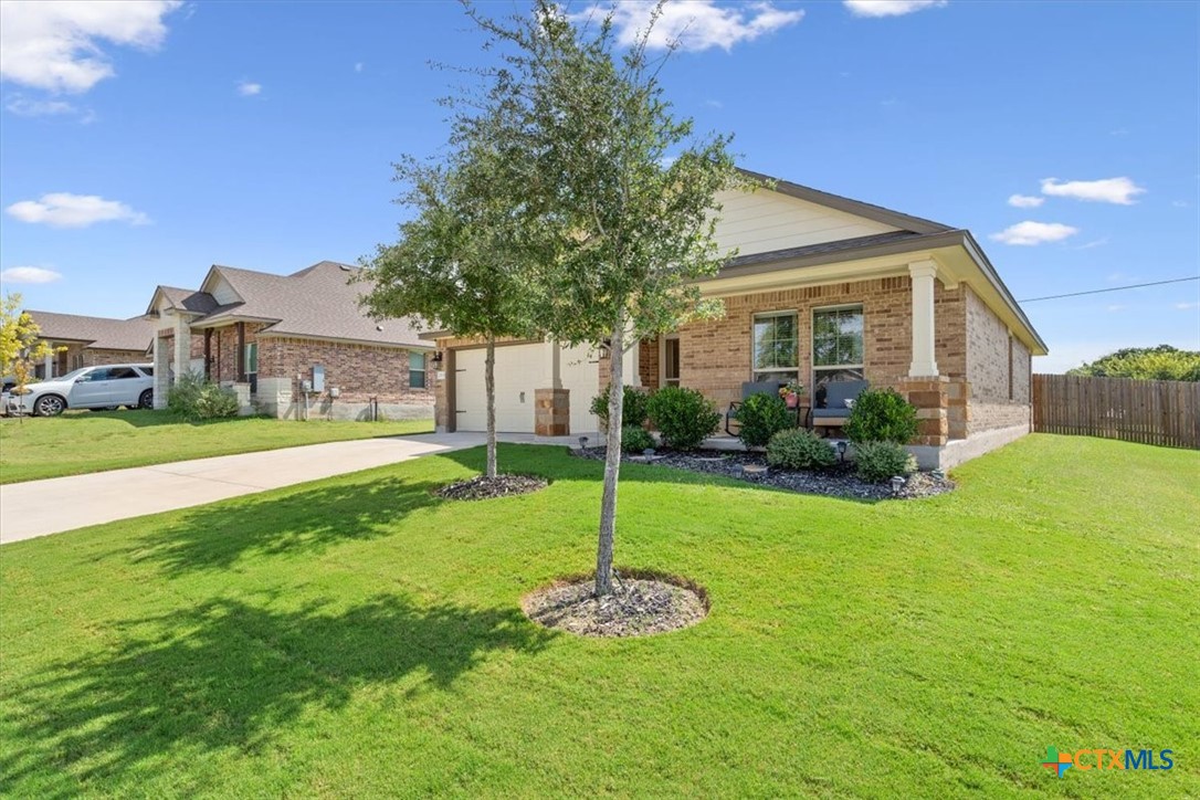 2515 Corradino Street