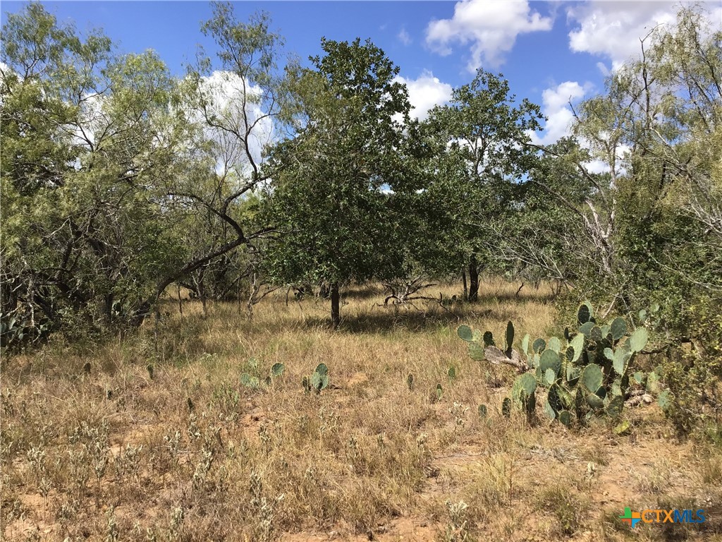 127 country acres pr