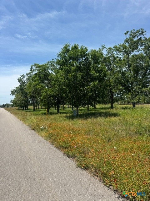 532 Old Gonzales Road