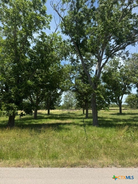 532 Old Gonzales Road