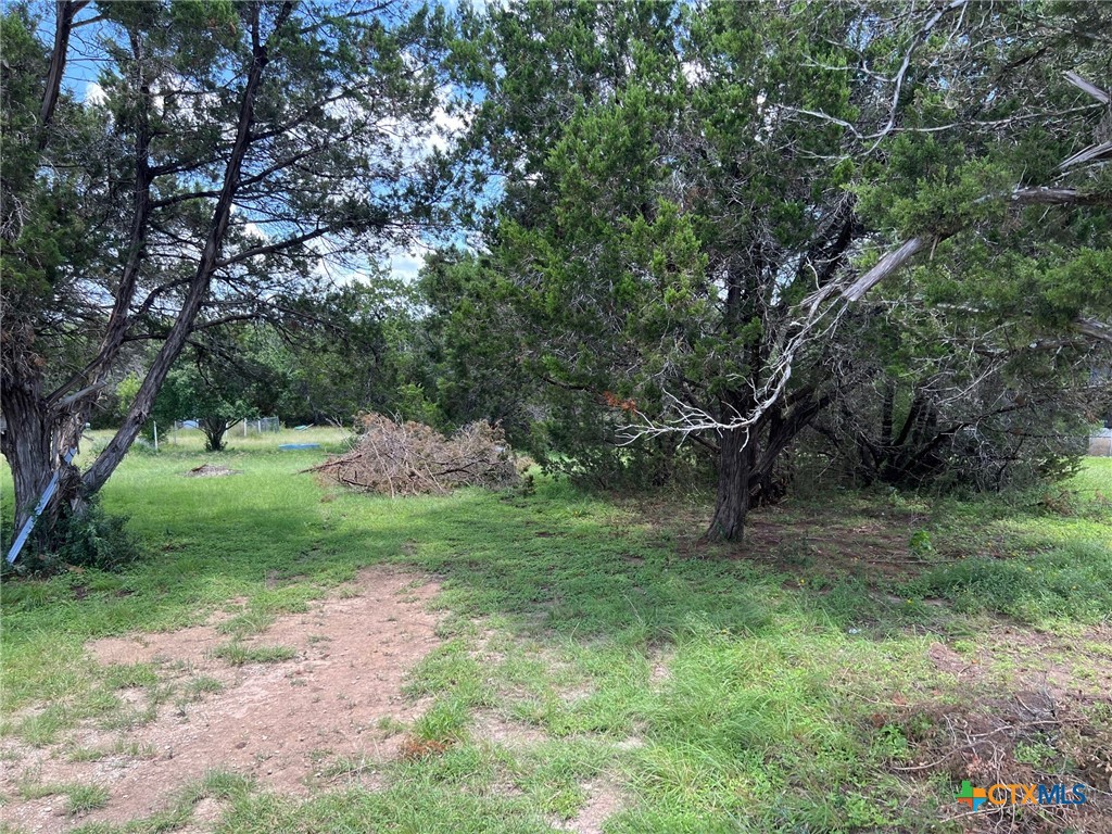 Spring Branch, Texas 78070, United States, ,Land,Active,157415