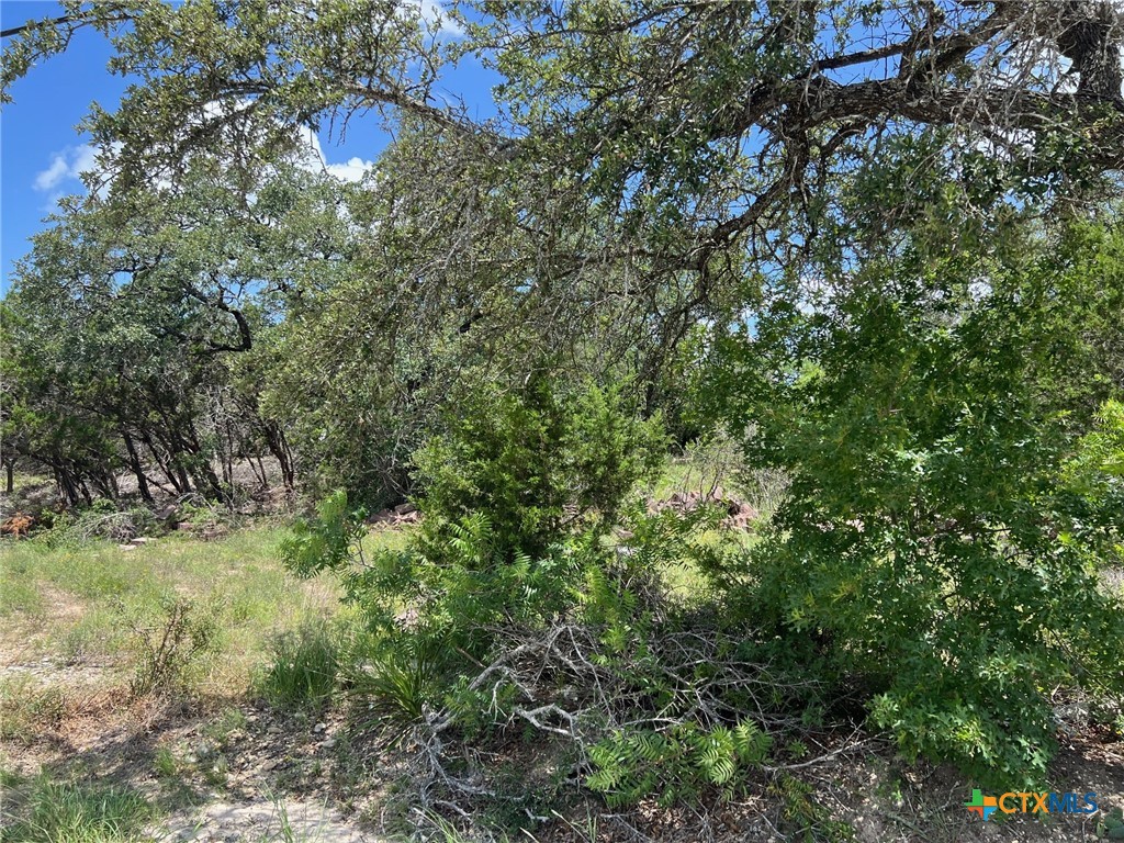 Spring Branch, Texas 78070, United States, ,Land,Active,157415