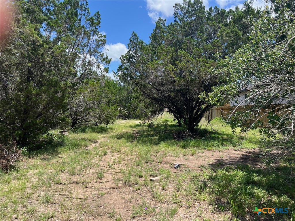 Spring Branch, Texas 78070, United States, ,Land,Active,157415