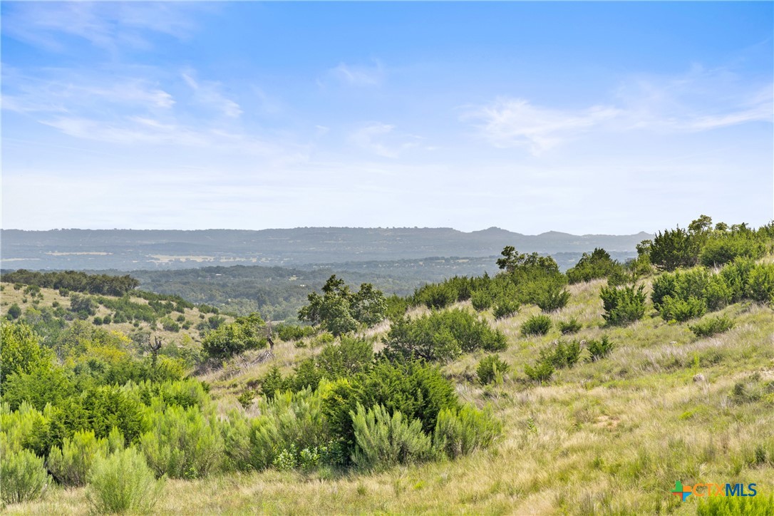 Photo 1 of 41 — Lot 119 Falling Oak Drive, Blanco, TX 78606