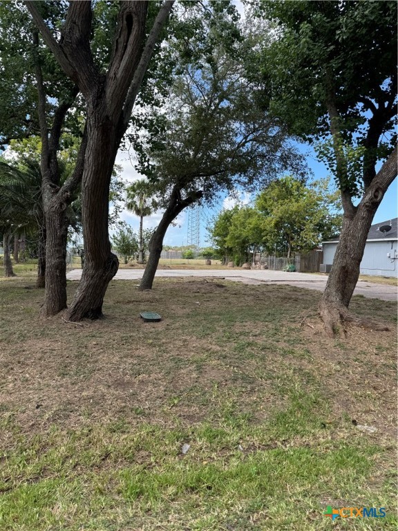 315 E Tres Palacios Avenue