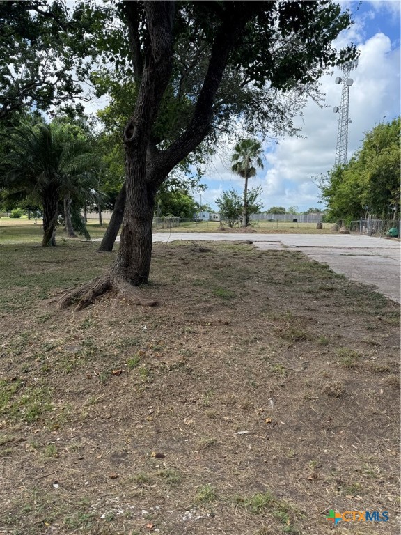 315 E Tres Palacios Avenue