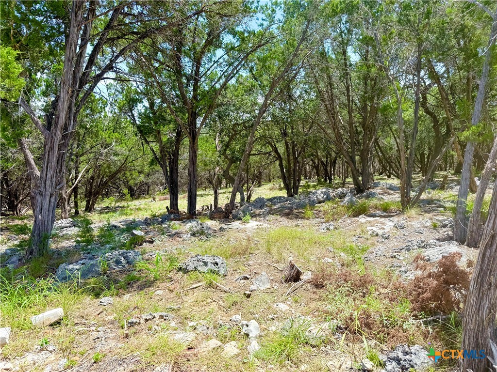 Photo 1 of 7 — 5663 Basilone Ridge, New Braunfels, TX 78132