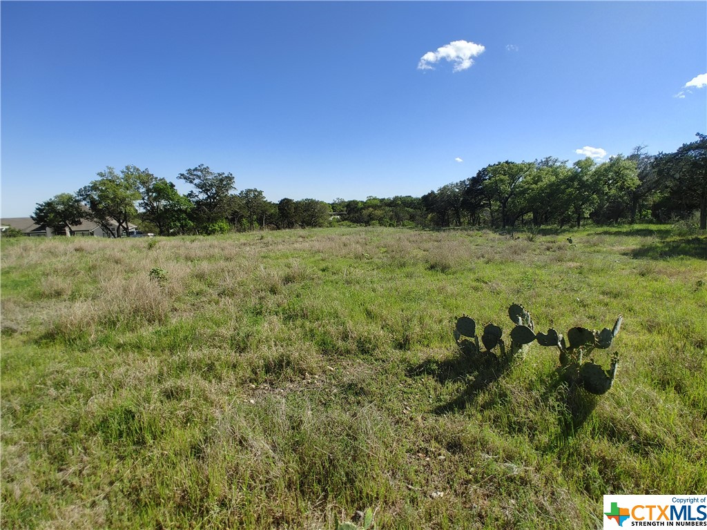 New Braunfels, Texas 78130, United States, ,Commercial,Active,61951