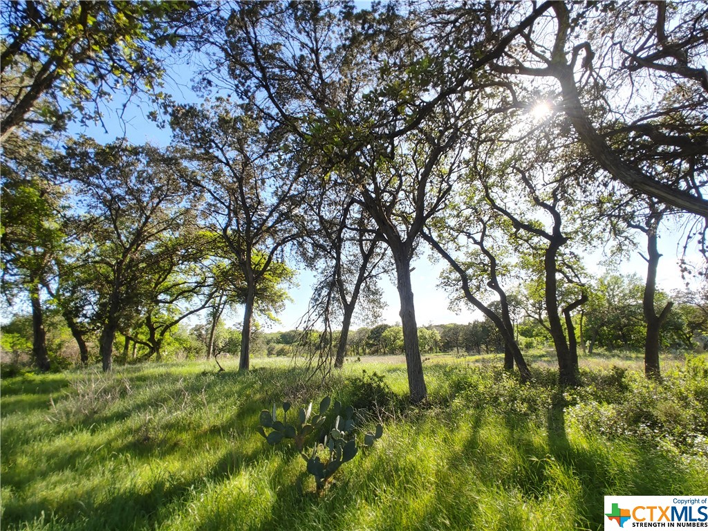 New Braunfels, Texas 78130, United States, ,Commercial,Active,61951