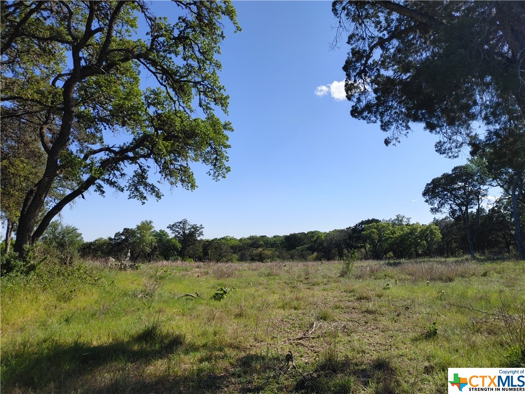 New Braunfels, Texas 78130, United States, ,Commercial,Active,61951 New Braunfels, Texas 78130, United States, ,Commercial,Active,61951