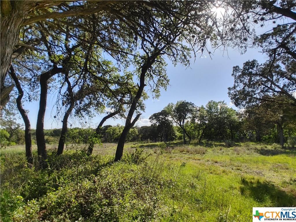 New Braunfels, Texas 78130, United States, ,Commercial,Active,61951