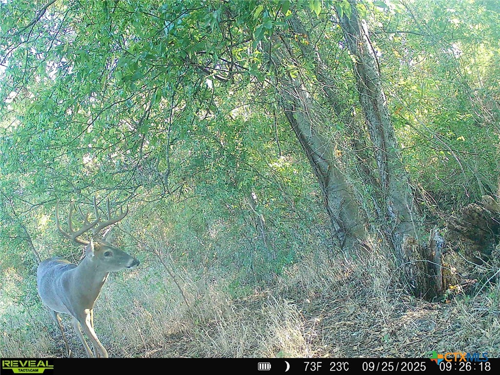 0000 East Gillis Street